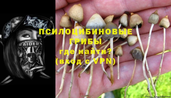 PSILOCYBIN Белоозёрский